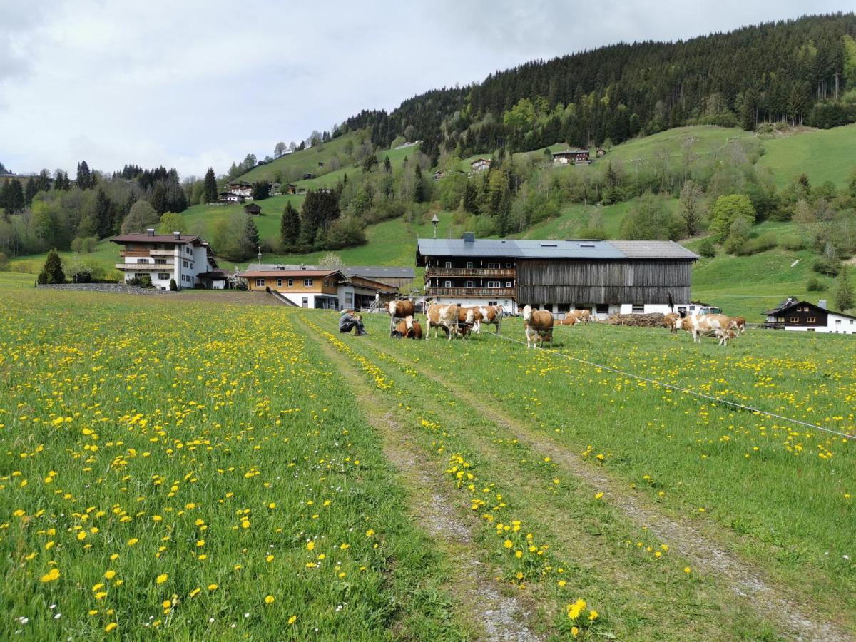 Angererhof Apartment Jochberg Exterior photo